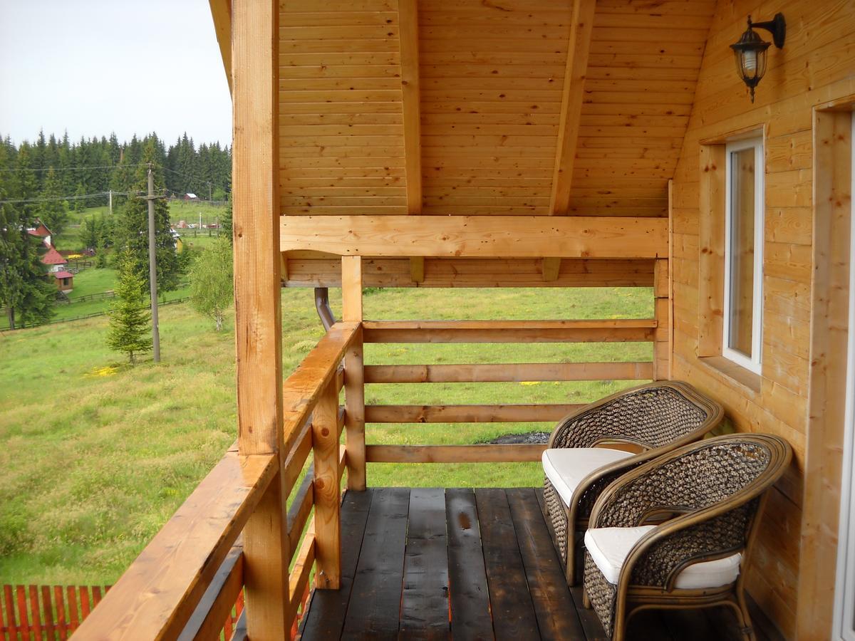 Villa Panorama Apuseni Beliş Esterno foto